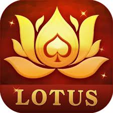 run teen patti download
